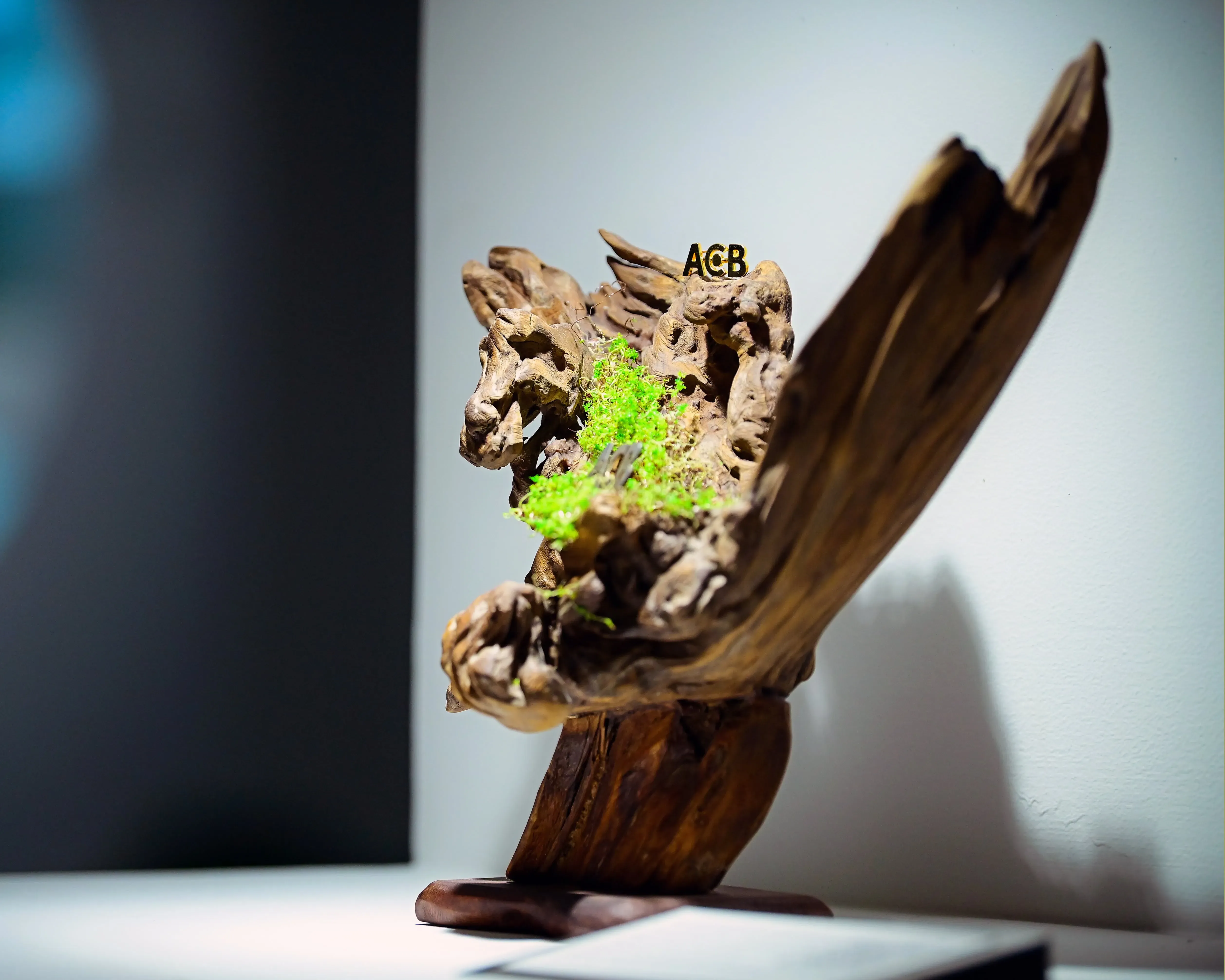 Pin cài áo
